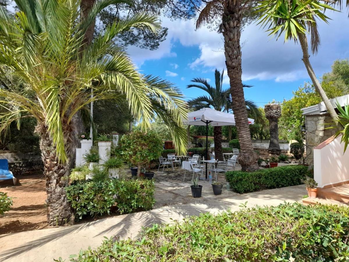 Hostal Residencia Alma Port de Alcudia  Ngoại thất bức ảnh